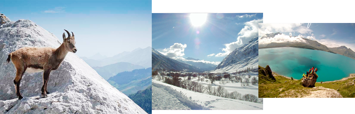 Location Appartements Bessans 2